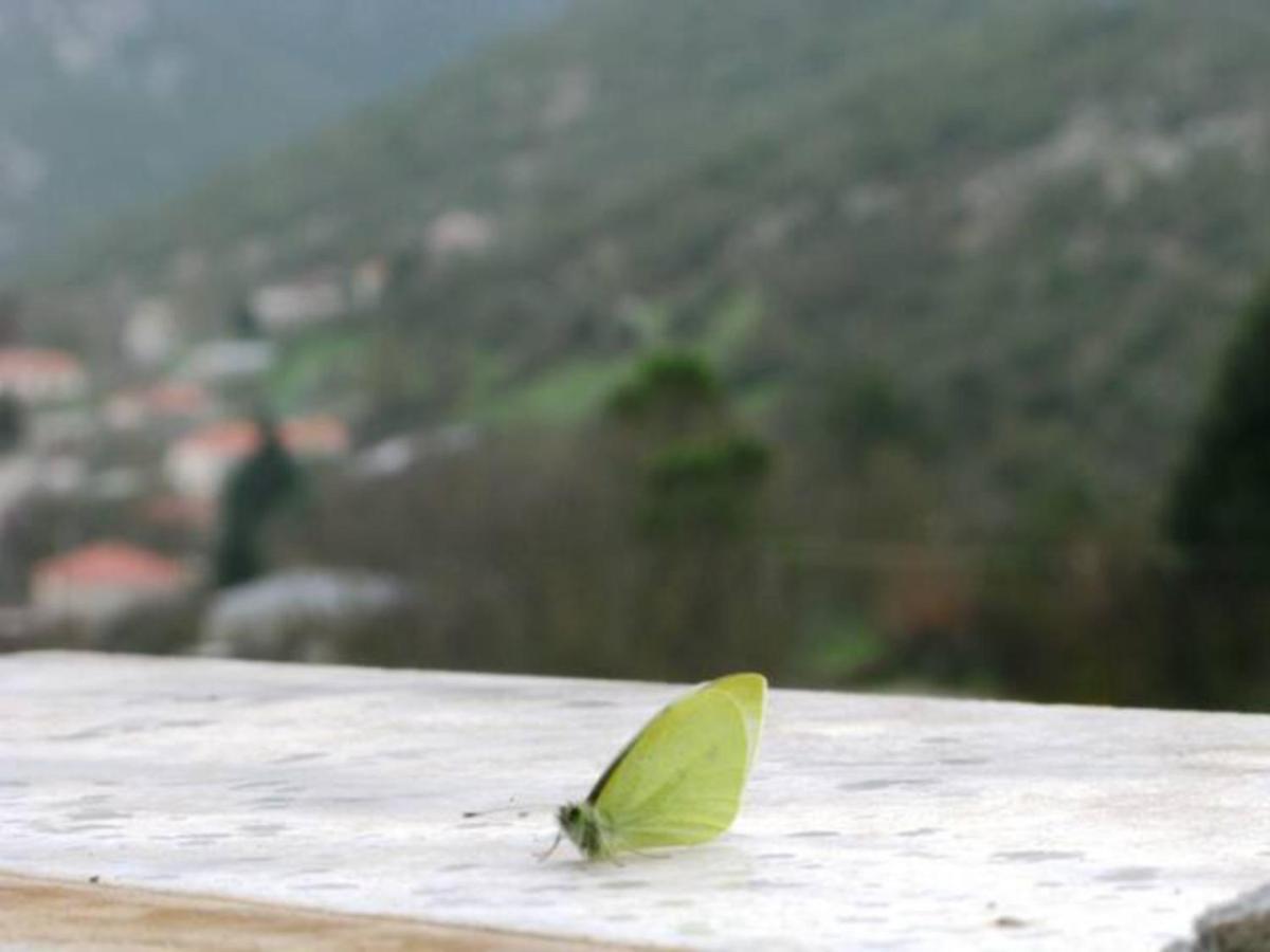 Taygetos Relaxing *